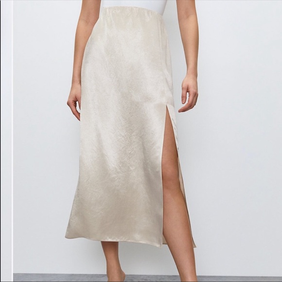 Aritzia Dresses & Skirts - ARITZIA Babaton Aldus Slip skirt